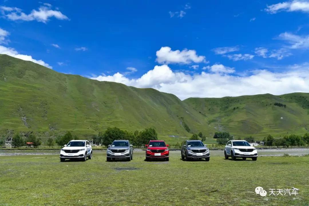 15647159855887152vfe.jpg 1.jpg